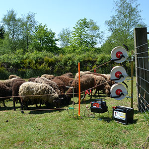 Electric Fencing