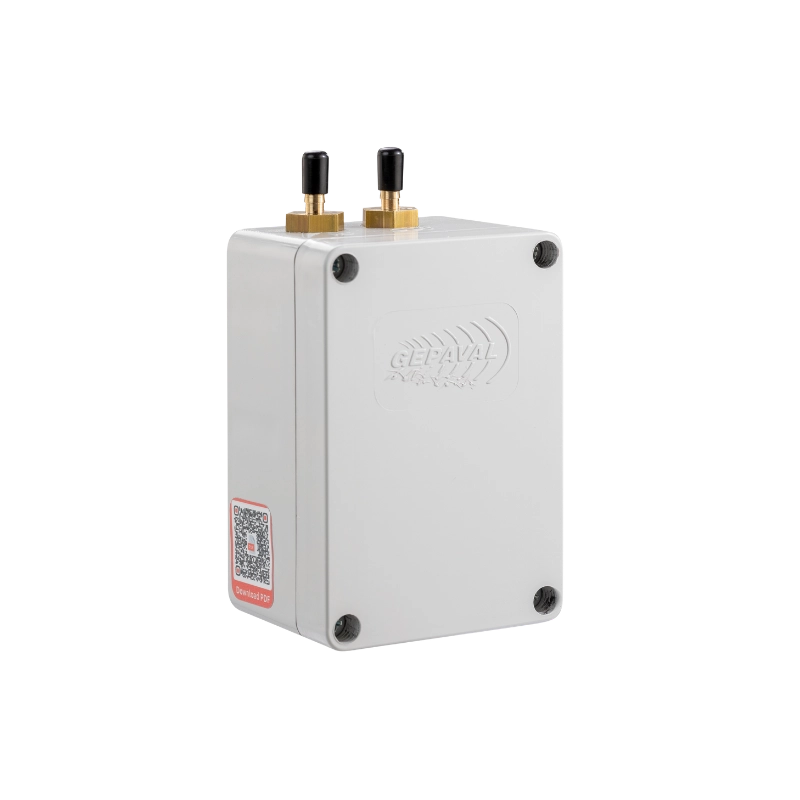 Gepaval Guardian 2 Timer Switch Box