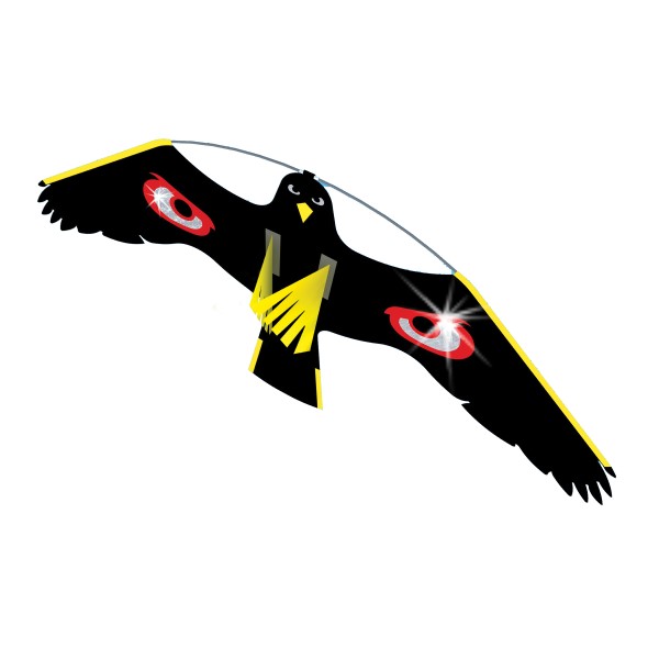Kite Bird Scarer